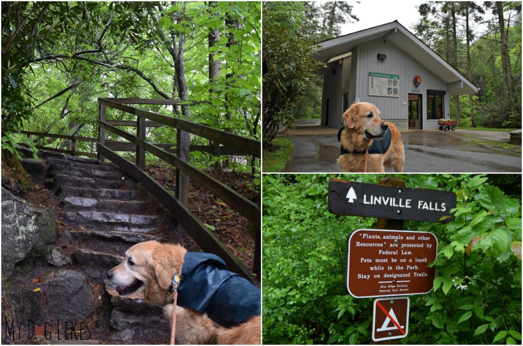 Hiking with our dog at Linville Falls in North Carolina