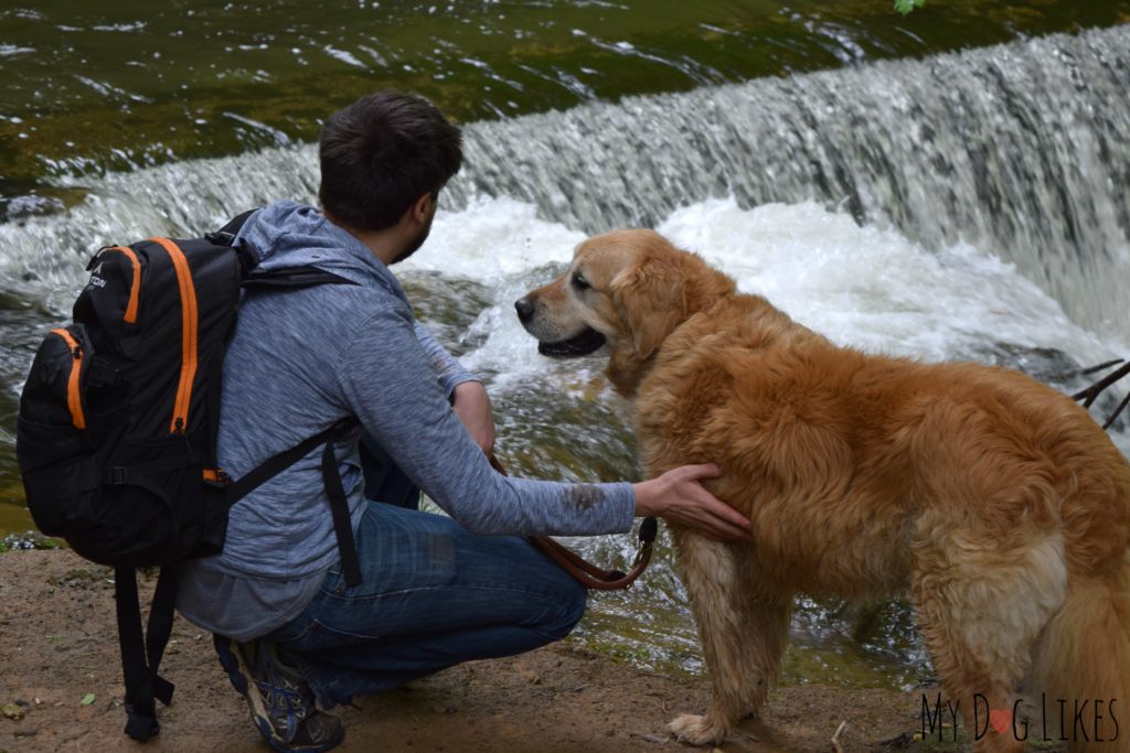 Watching the water of Mill Creek flow over the old dam