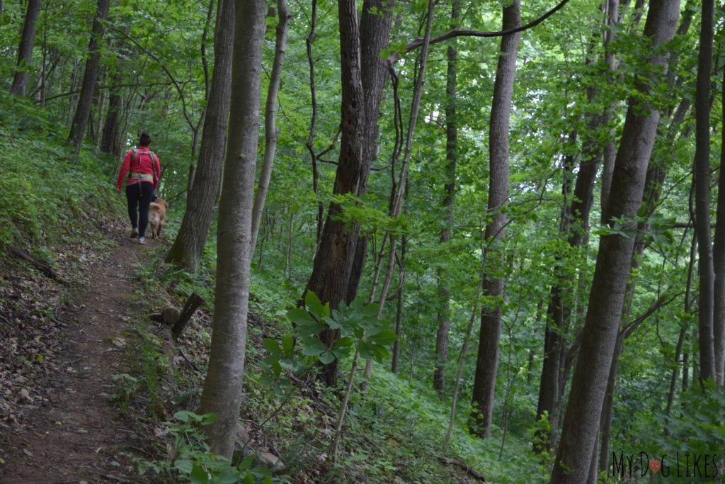 Navigating the steep hill via switchbacks on the Lower Loop Trial