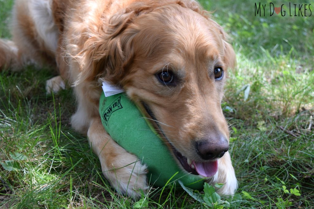 Charlie snuggling with his watermelon dog toy from Lulubelles