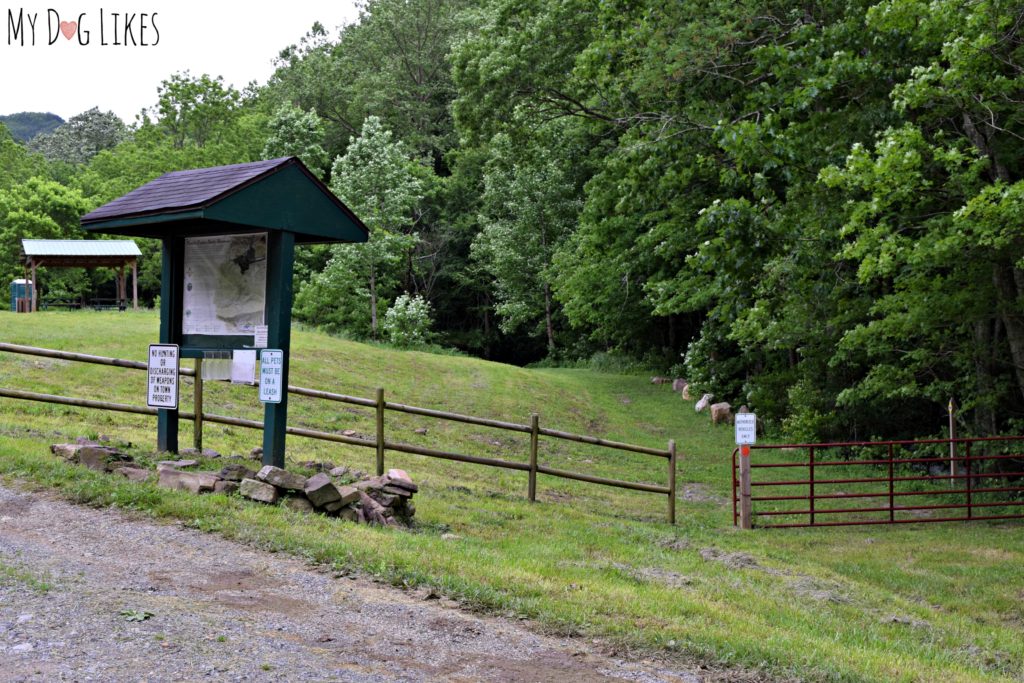 Head through the gap in the fence to enter the Lower and Upper loop trails