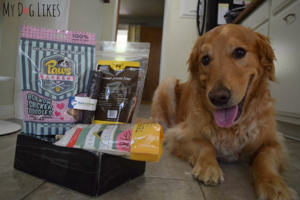 Taking a closer look at Prized Pet in our latest dog subscription box review