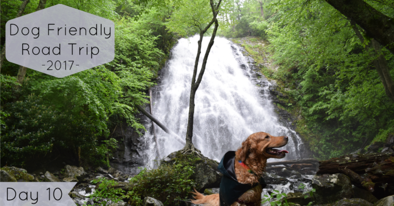 On day 10 of our road trip we explore 2 Blue Ridge Parkway dog friendly trails