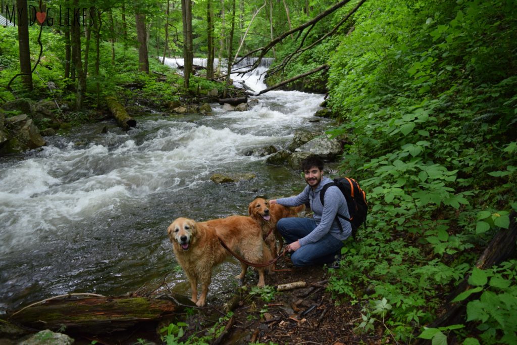 Hiking near Blacksburg VA (Mills Creek Nature Park)