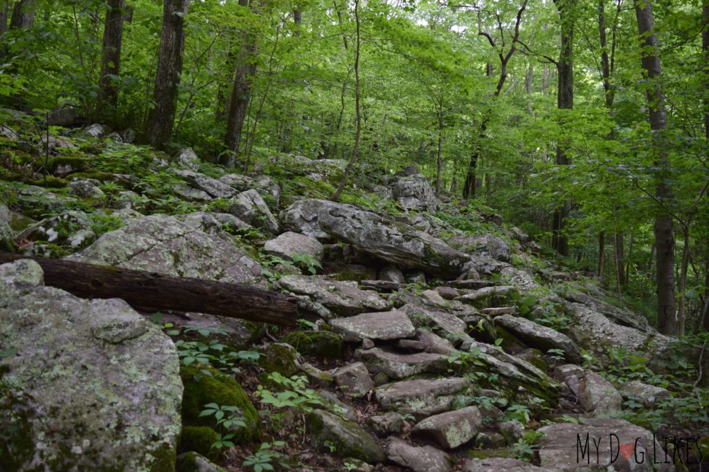 The steep and rocky waterfall trail is not recommended for dogs!