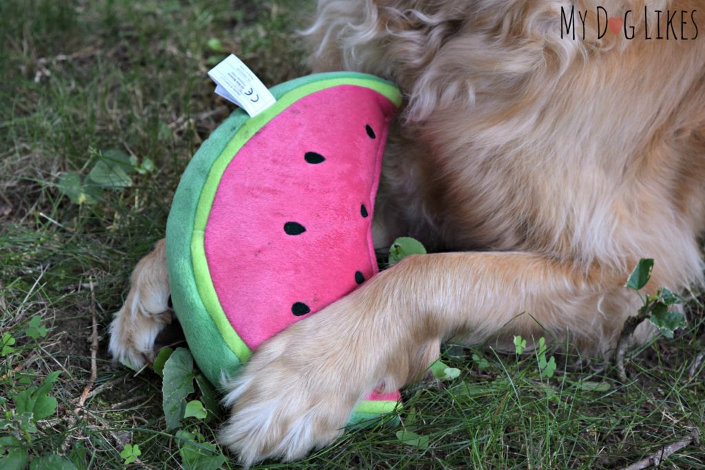 Large watermelon dog toy with Power Plush core!