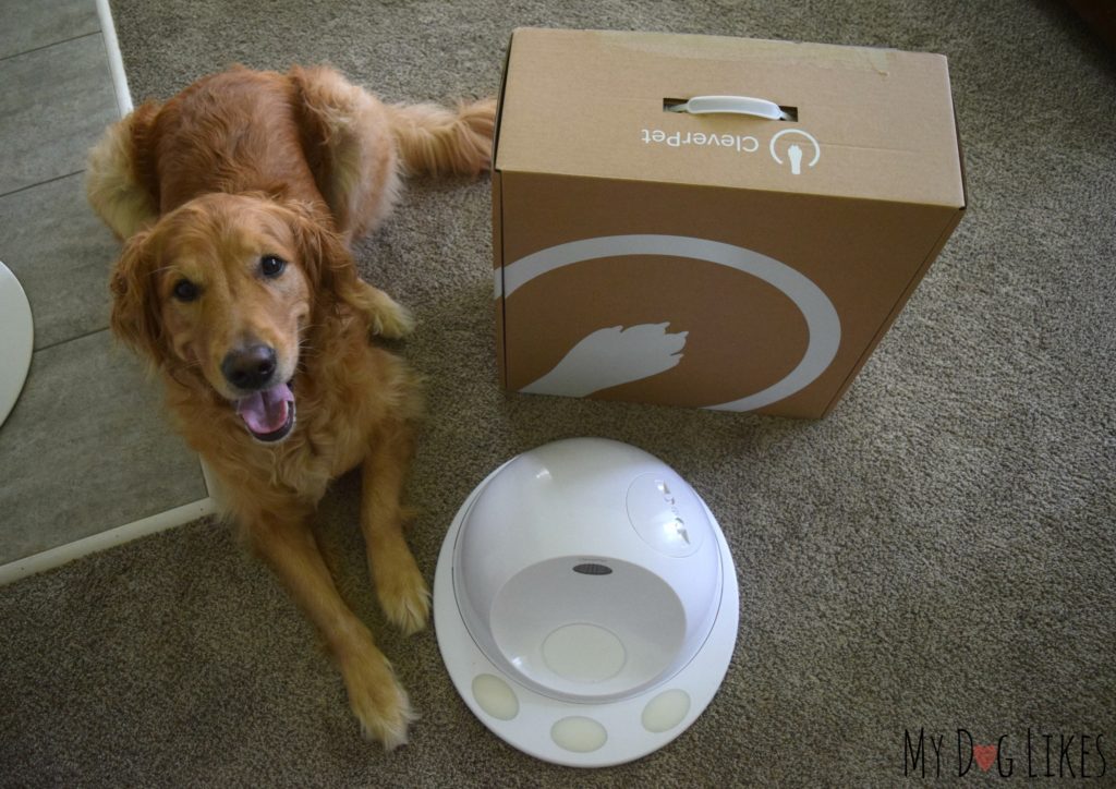 Cleverpet amazon outlet