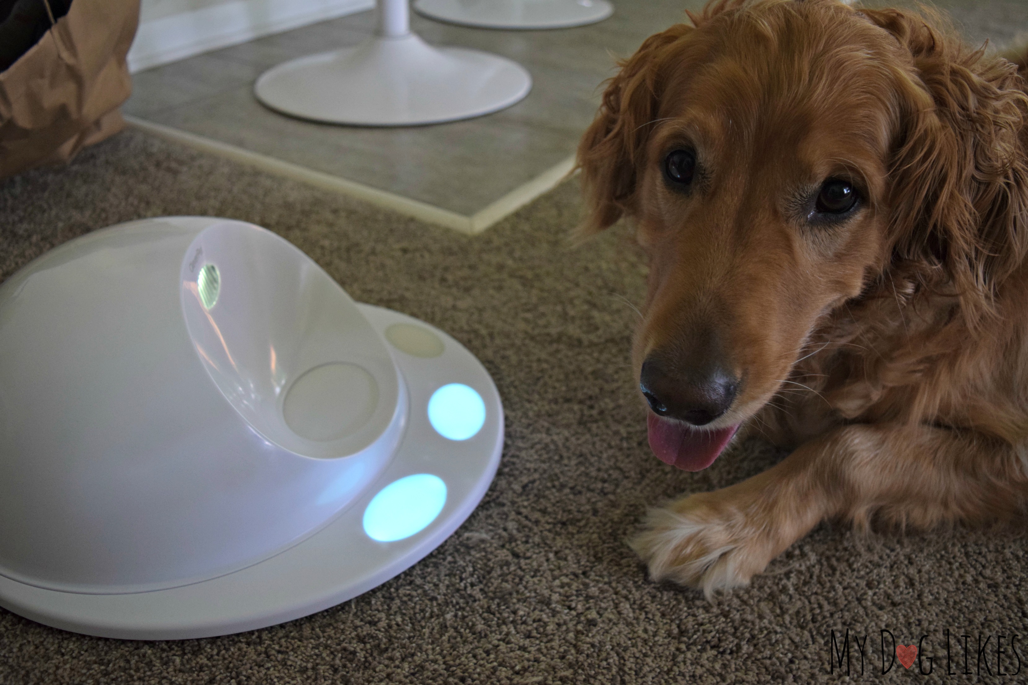 clever pet treat dispenser