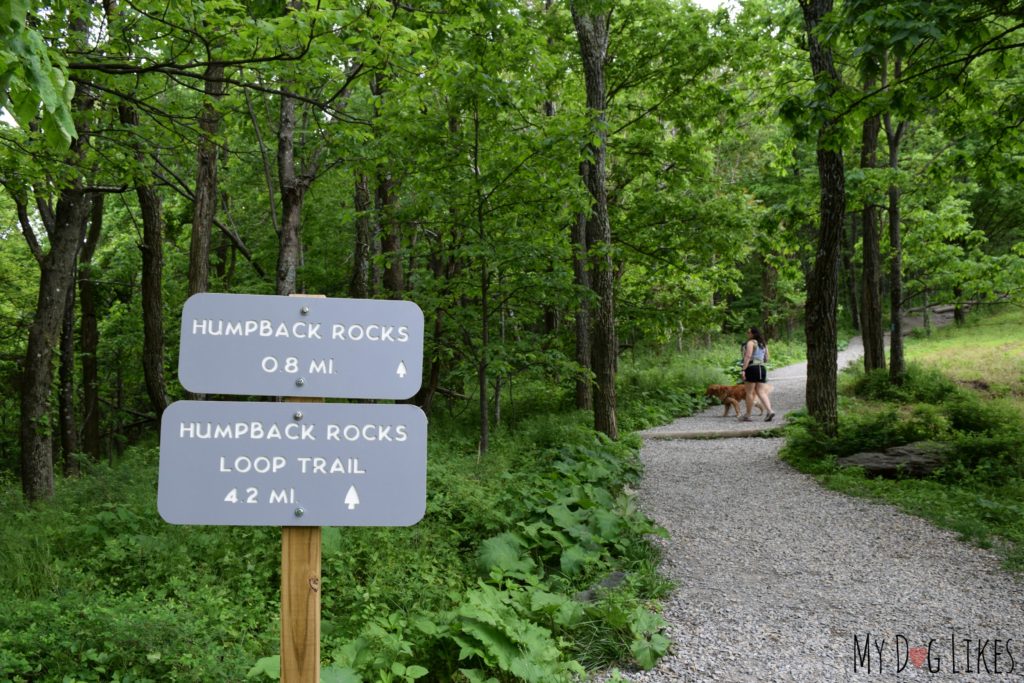 The start of the Humpback Rocks Trail leading out of the parking lot