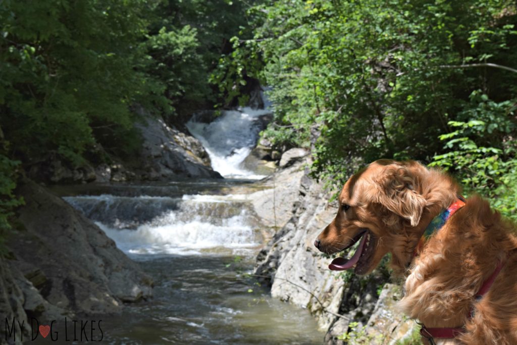 Lace Falls observation area at the end of the Cedar Creek trail.