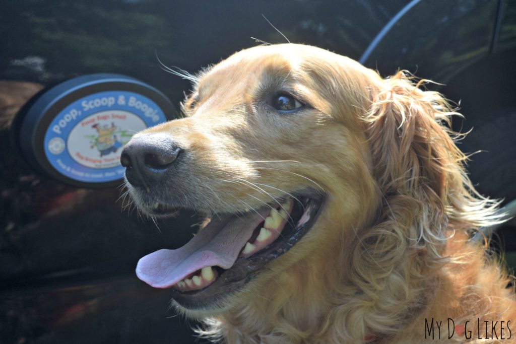 The Poop, Scoop and Boogie solves a problem all pet owners have faced - what to do with those stinky poop bags!