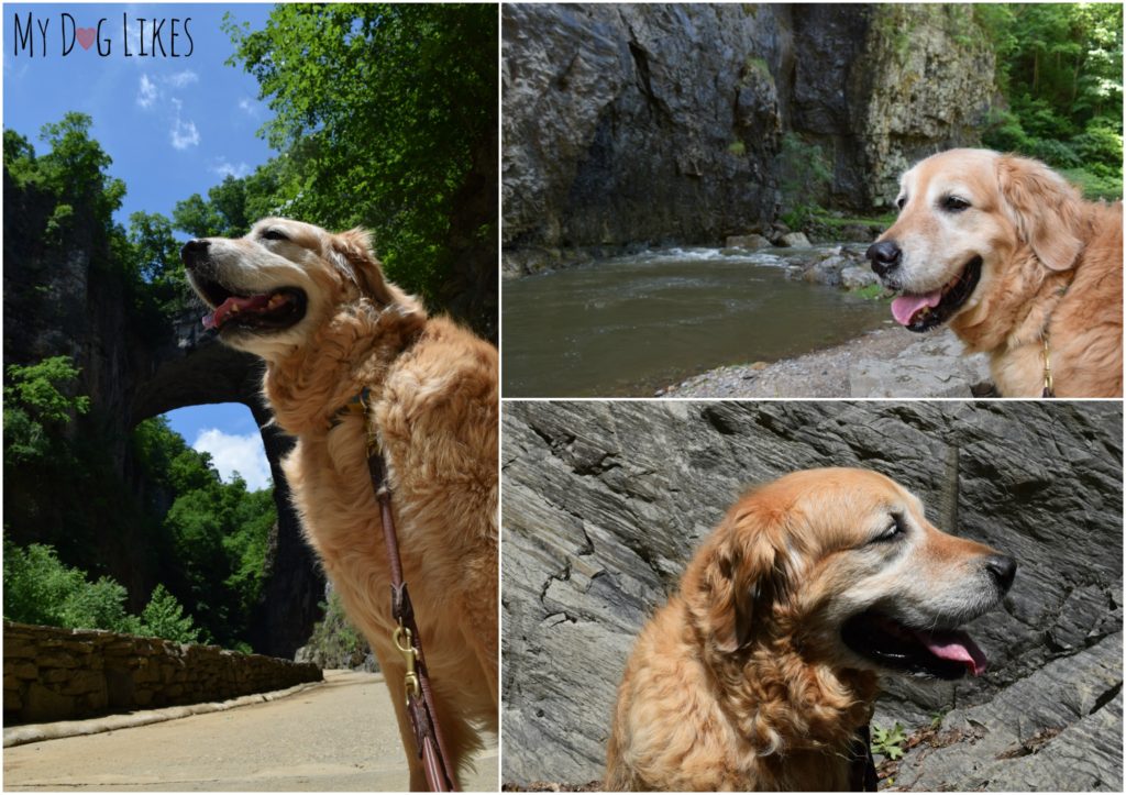 Hiking at Virginia's Natural Bridge State Park