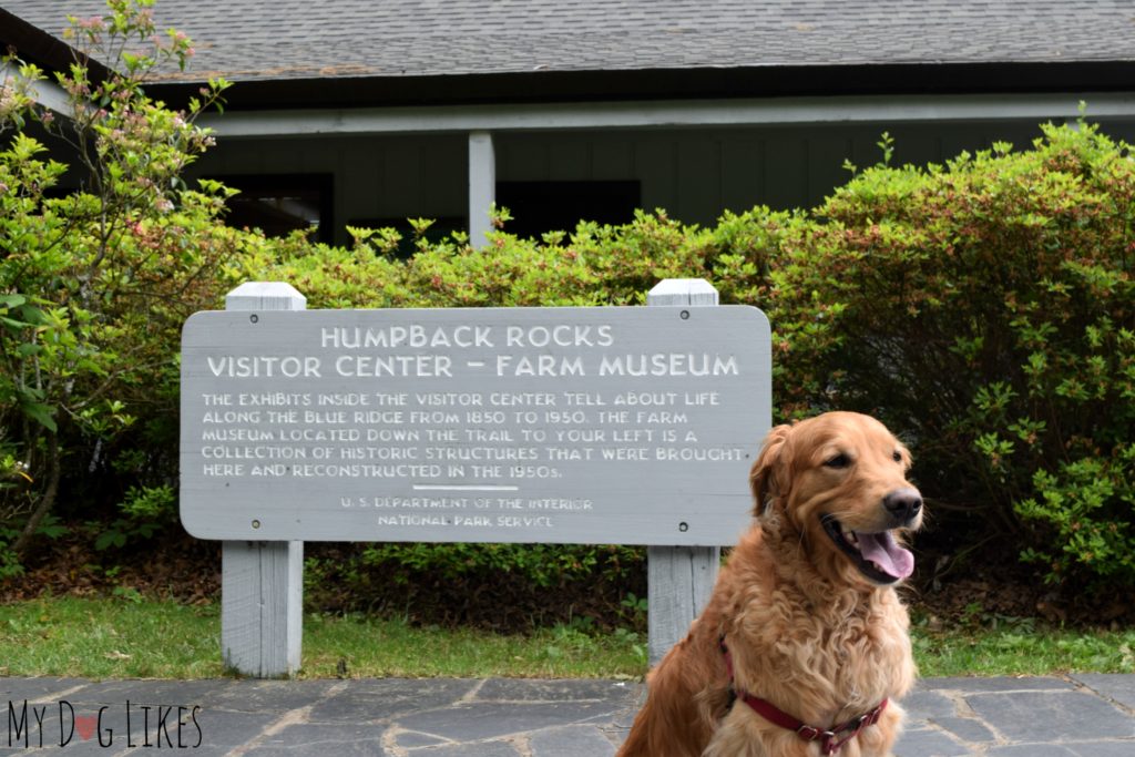 Charlie posing in front of the Humpback Rocks Visitors Center 