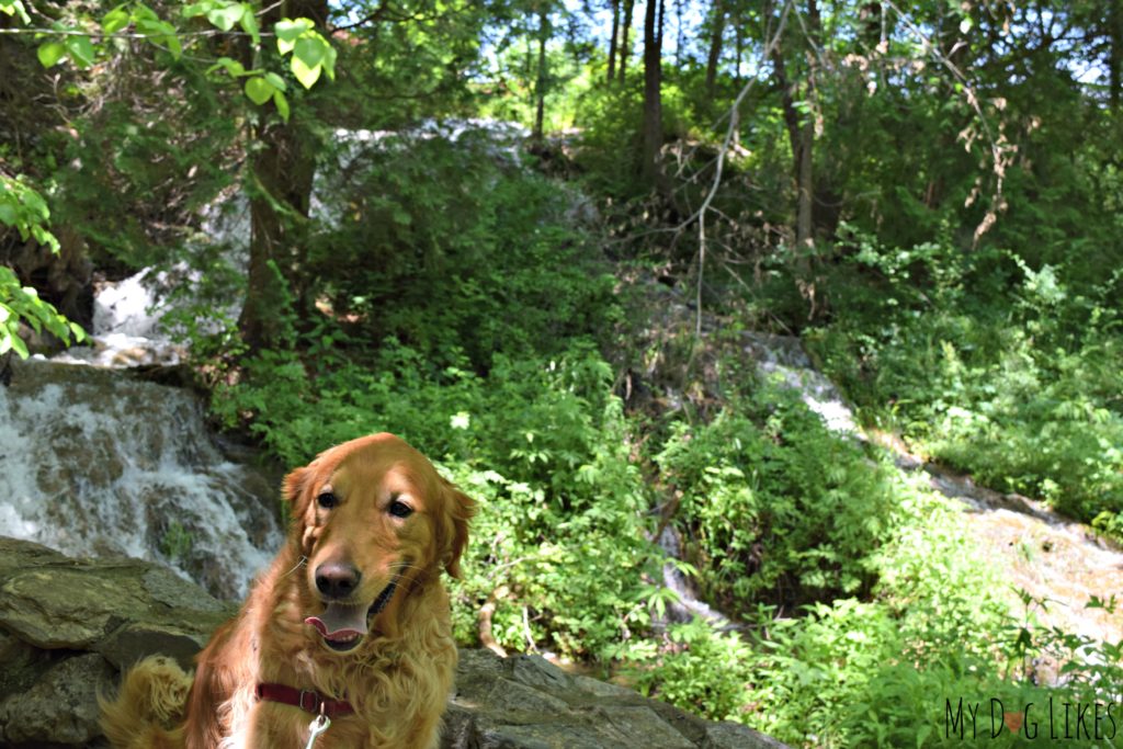 Posing by the waterfalls along the start of the Cedar Creek trail.