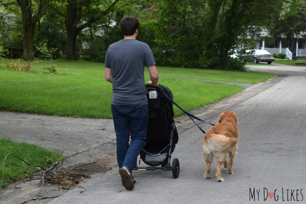 Walking dog with baby stroller