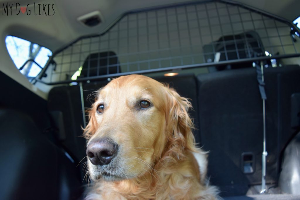 Travall Dog Car Barrier Review