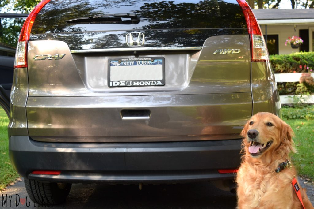 Pet Barrier for Honda CRV
