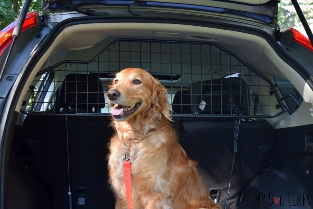 Reviewing a Honda CRV Pet Barrier from Travall