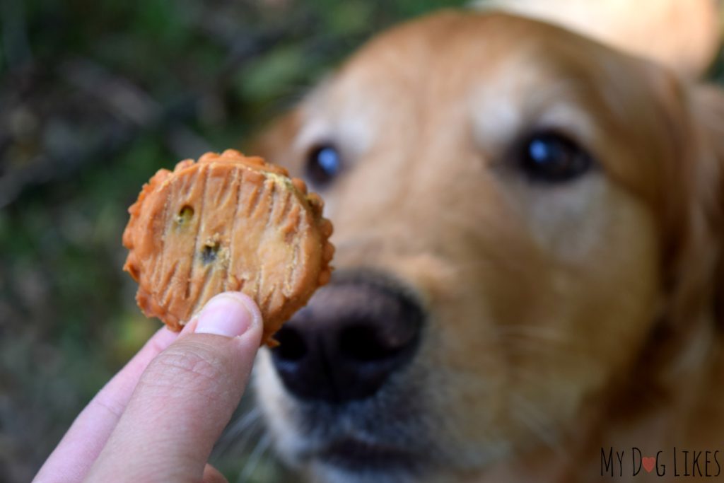 Rewarding good behavior with training treats