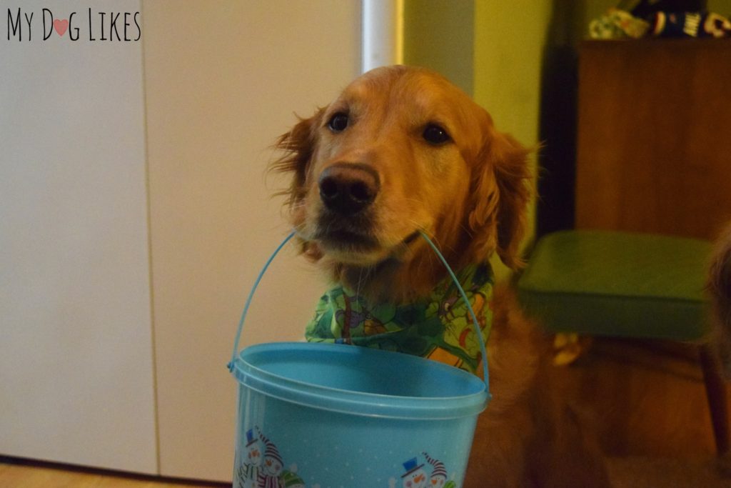 Charlie is ready to serve our Trick-or-Theater's!