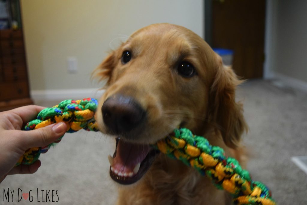 Handing the toy to Charlie