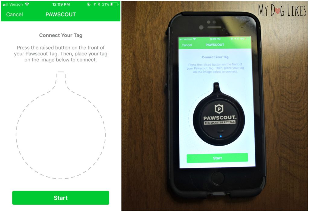Pairing the Pawscout tag with an iPhone
