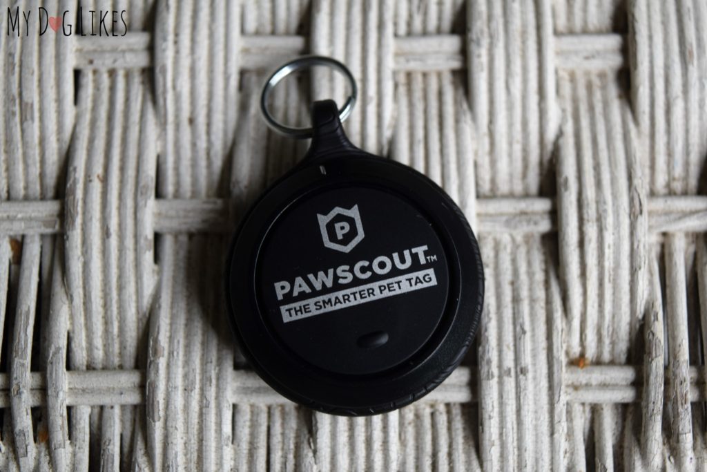 MyDogLikes reviews the Pawscout Bluetooth pet tag 