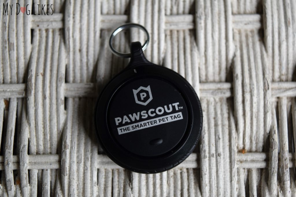 Pawscout gps best sale pet tag