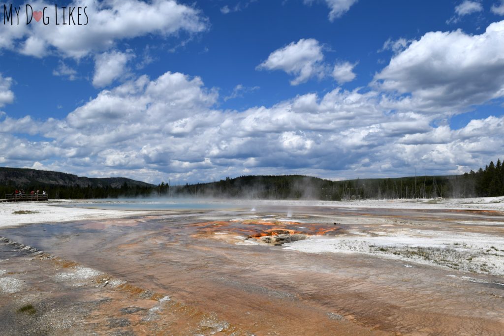 Watching steam rise from the Earth in one of Yellowstone's most geo-thermally active areas