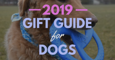 Best Gifts for Dogs 2019
