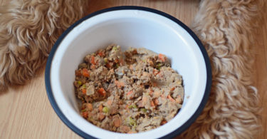 Check out our PetPlate review to learn what sets this dog food delivery service apart!
