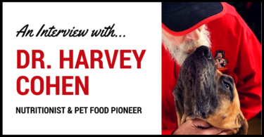 MyDogLikes interviews Dr. Harvey Cohen - Pet Food Pioneer