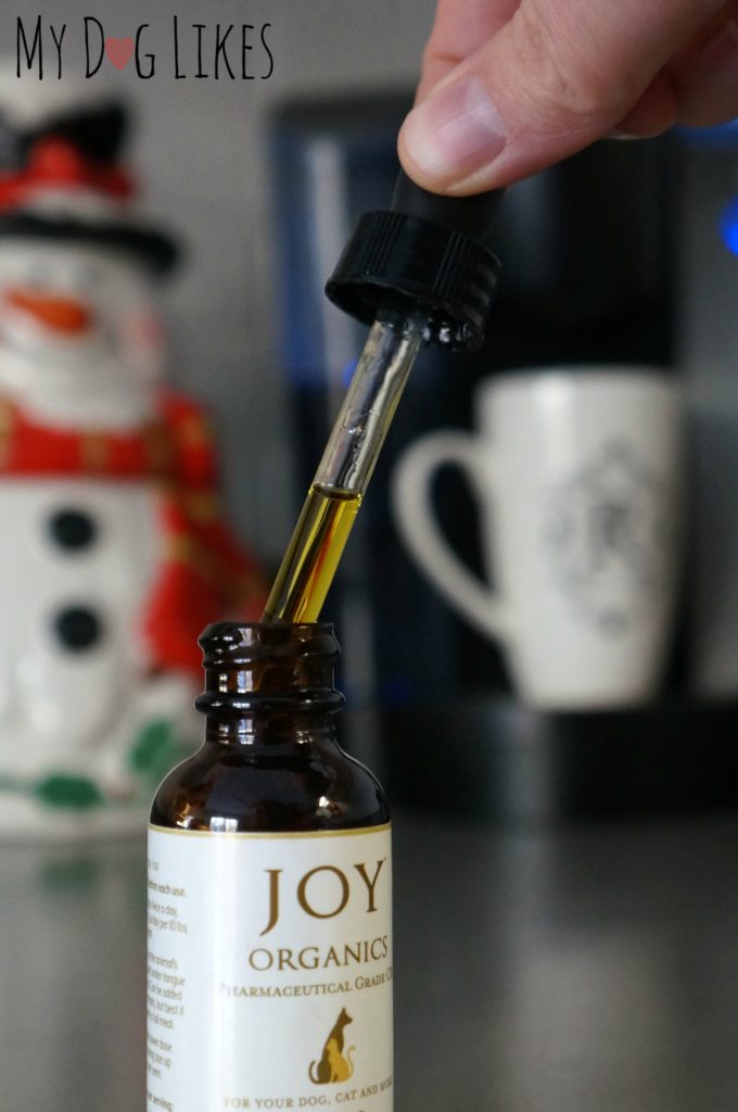 CBD for Dogs Tincture from Joy Organics