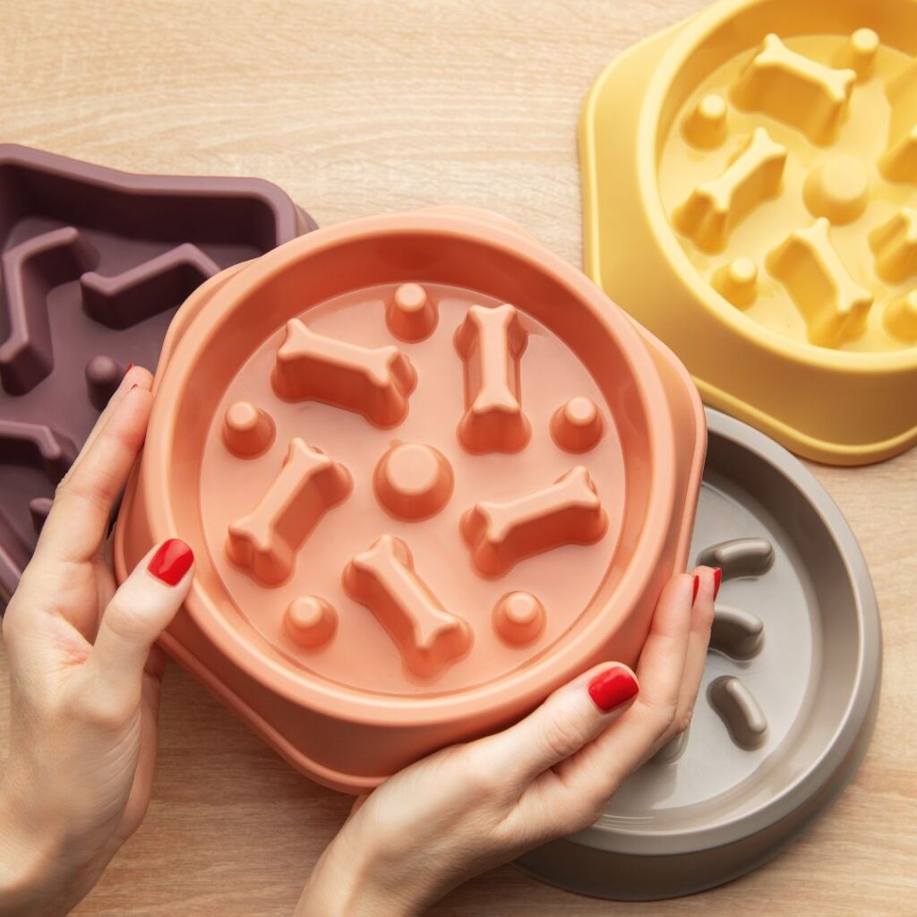 Boost your pup’s brain with fun DIY food puzzles