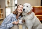 Make Nutrition A Priority For Your Furry Friend