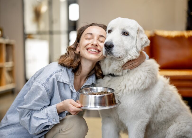 Make Nutrition A Priority For Your Furry Friend