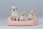 Luxury dog bed with plush cushions for ultimate pet comfort