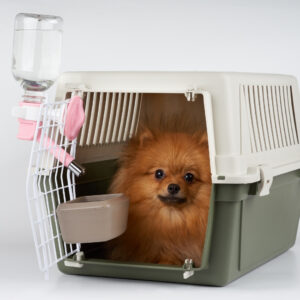 Durable Petmate Aspen travel crate for dogs