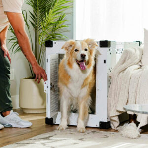 Rock Creek Crates crash-tested travel dog crate
