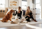 Travel-friendly dog crate for safe dog travel